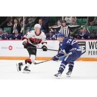 Belleville Senators' Roby Jarventie versus Toronto Marlies' Zach Solow