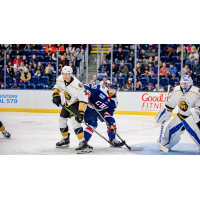 South Carolina Stingrays battle the Newfoundland Growlers