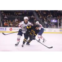 Springfield Thunderbirds vs. the Providence Bruins