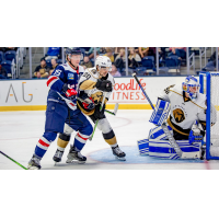 South Carolina Stingrays forward Josh Wilkins (left) leans in against the Newfoundland Growlers