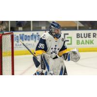 Norfolk Admirals goaltender Thomas Milic