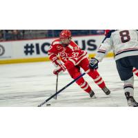 Forward Matt Brown with Boston University