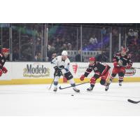 Cleveland Monsters' Owen Sillinger battles Grand Rapids Griffins' Dominik Shine