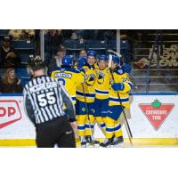 Saskatoon Blades celebrate win