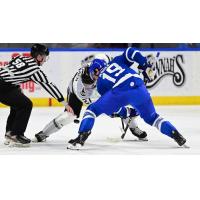 Wichita Thunder and Idaho Steelheads face off