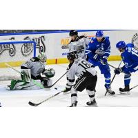 Wichita Thunder battle the Idaho Steelheads