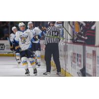 Toledo Walleye give fist bumps along the bench