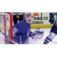 Trois-Rivières Lions goaltender Joe Vrbetic