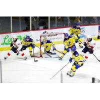 Saskatoon Blades battle the Regina Pats