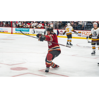 Josh Doan of the Tucson Roadrunners celebrates a goal