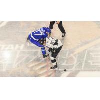 Wichita Thunder faces off with the Utah Grizzlies