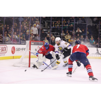 Providence Bruins' Justin Brazeau battles Springfield Thunderbirds' Malcolm Subban and Leo Loof