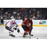 Ontario Reign's Jacob Moverare battles Tucson Roadrunners' Dylan Guenther