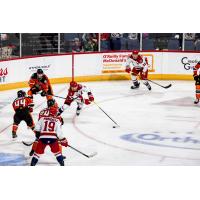 Allen Americans battle the Kansas City Mavericks