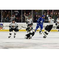 Utah Grizzlies react following a goal vs. the Wichita Thunder