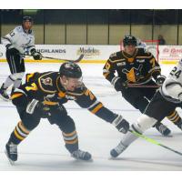 Wheeling Nailers battle the Idaho Steelheads