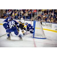 Worcester Railers goaltender Tristan Lennox makes a save against the Newfoundland Growlers