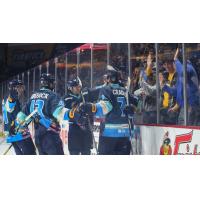 Toledo Walleye forward Sam Craggs is congratulated by teammates