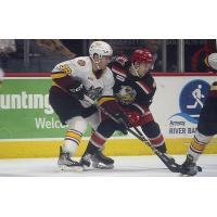 Grand Rapids Griffins battle the Chicago Wolves