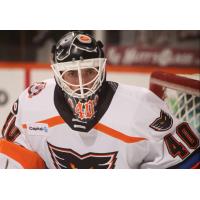 Lehigh Valley Phantoms goaltender Cal Petersen