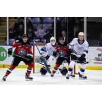 Kelowna Rockets battle the Victoria Royals