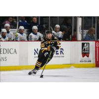 Wheeling Nailers forward David Jankowski