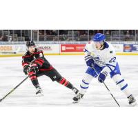 Wichita Thunder forward Michal Stinil (right) vs. the Rapid City Rush