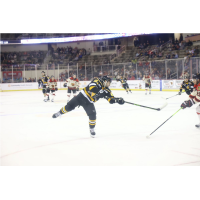 Wheeling Nailers' Cédric Desruisseaux in action