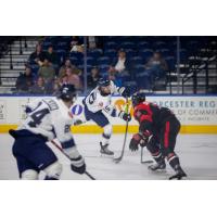 Worcester Railers' Brendan Robbins in action