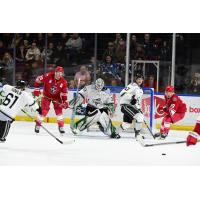 Allen Americans forwards Spencer Asuchak (left) and Brandon Puricelli vs. the Idaho Steelheads