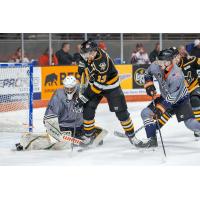 Fort Wayne Komets goaltender Brett Brochu stops the Wheeling Nailers