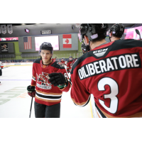 Tucson Roadrunners exchange fist bumps along the bench