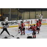 Wheeling Nailers react after Justin Addamo's overtime goal
