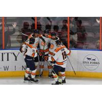 Greenville Swamp Rabbits get together following a goal