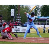 Victoria HarbourCats at bat