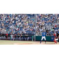 Gabriel Moncada at bat for the Everett AquaSox in front of a big crowd