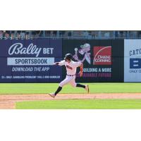 Toledo Mud Hens round the bases