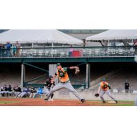 Missoula PaddleHeads pitcher Connor Schultz