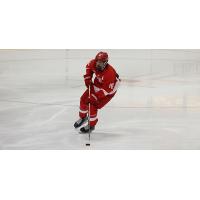 Forward Gabriel Seger with Cornell University