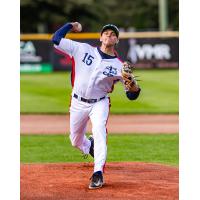 Victoria HarbourCats' pitcher Shea Lake in action