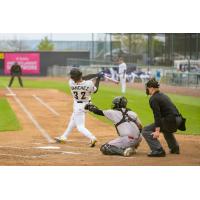 Tri-City Dust Devils' Jadiel Sanchez at bat