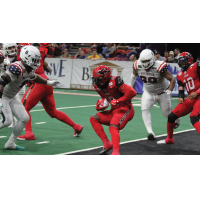 Jacksonville Sharks prepare for contact against the Green Bay Blizzard