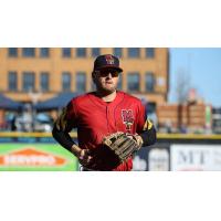 Toledo Mud Hens in the field