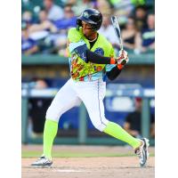 Erick Pena of the Columbia Fireflies