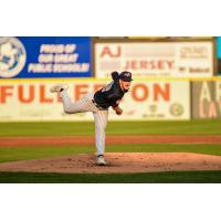 Somerset Patriots' Trystan Vrieling in action