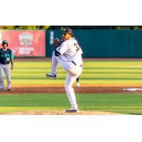 Charleston RiverDogs' Luis Hernandez in action