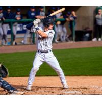 Tri-City Dust Devils' Kevin Bruggeman at bat