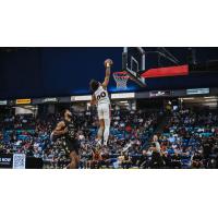 Calgary Surge's Sean Miller-Moore in action