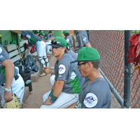 Clinton LumberKings on game night