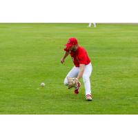 Winnipeg Goldeyes in action